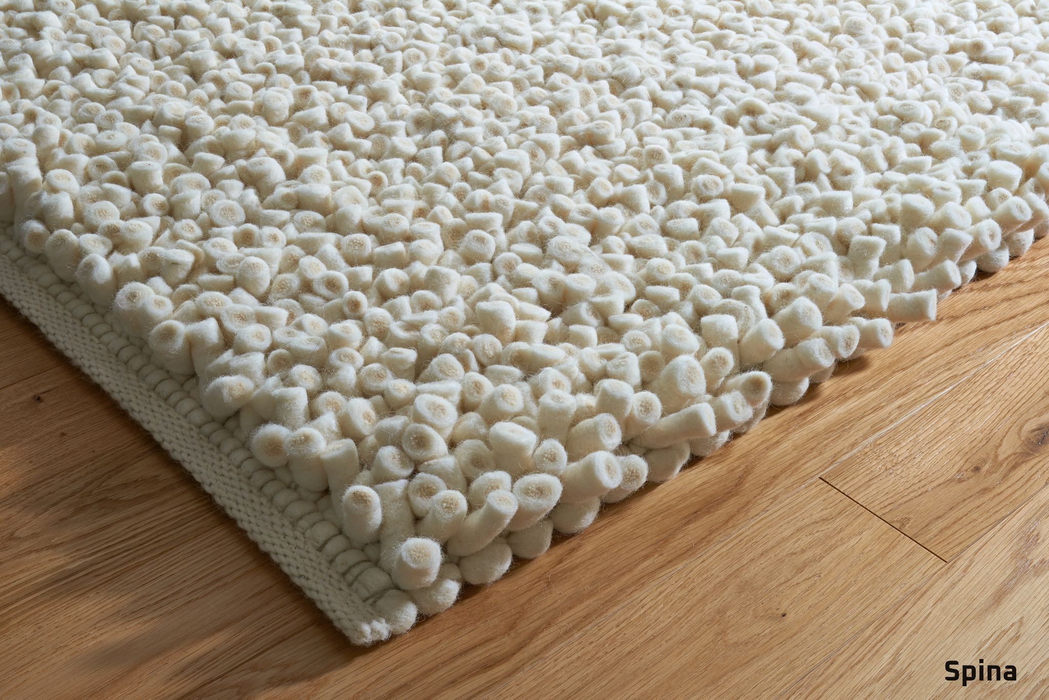 Olbia Spina col 1001